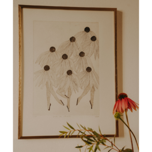 Danse des échinacées