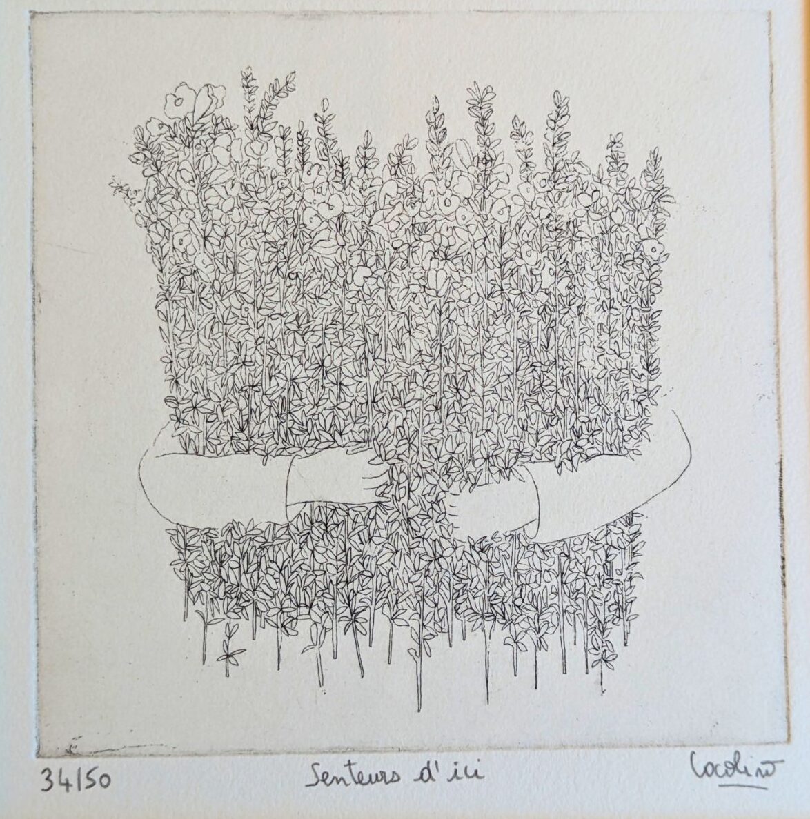 senteurs_d_ici_3